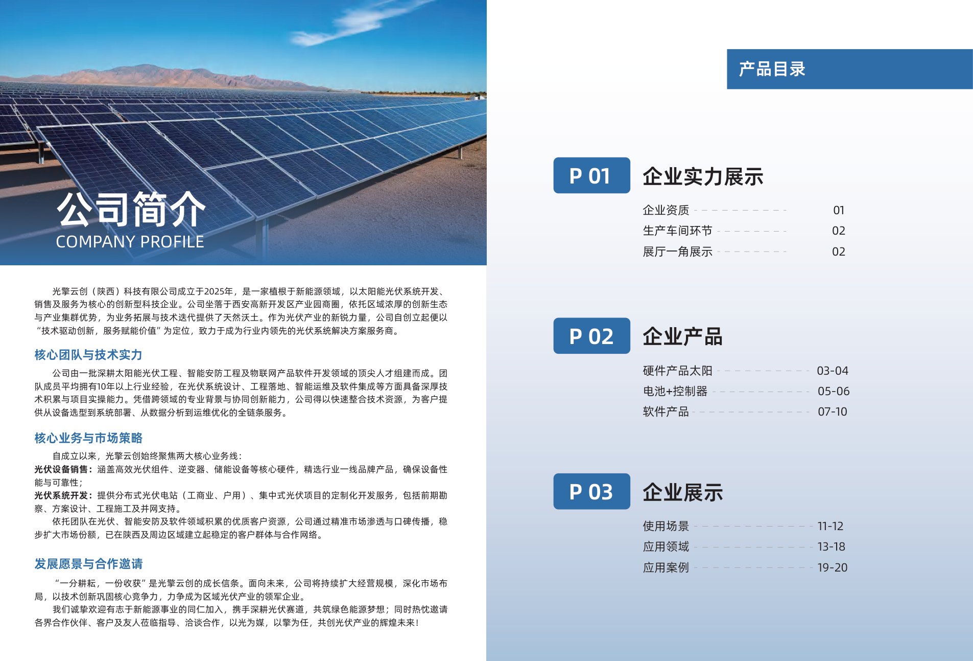 Company profile